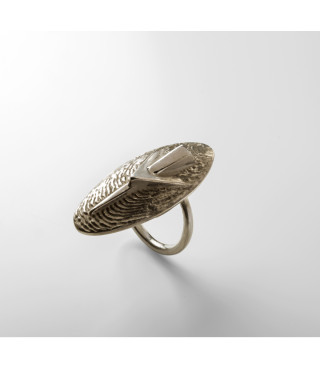 Shield ring | Bronze | 2022