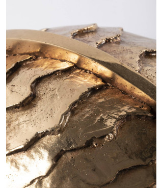 Carapace, bozzetto, 2003