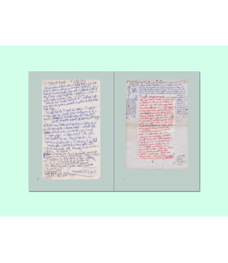 Il vecchio col bastone