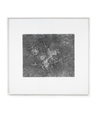 Situazione vegetale, 1957/2012