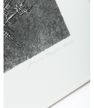 Situazione vegetale, 1957/2012