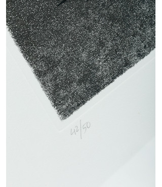 Situazione vegetale, 1957/2012