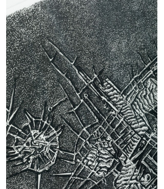 Situazione vegetale, 1957/2012