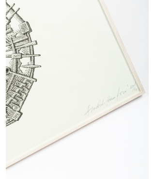 Immagine solare, 1957/2012