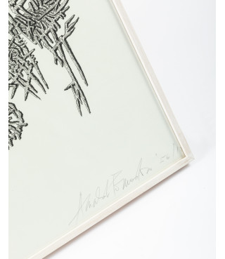 Situazione vegetale, 1956/2012