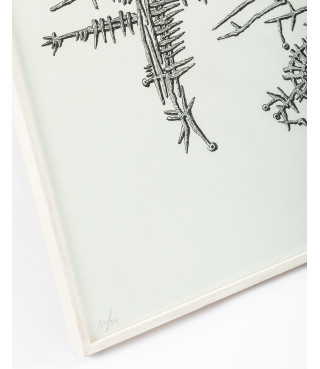 Situazione vegetale, 1956/2012