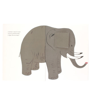 Mai contenti. Bruno Munari