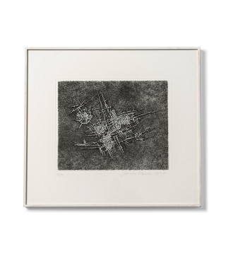 Situazione vegetale, 1957/2012